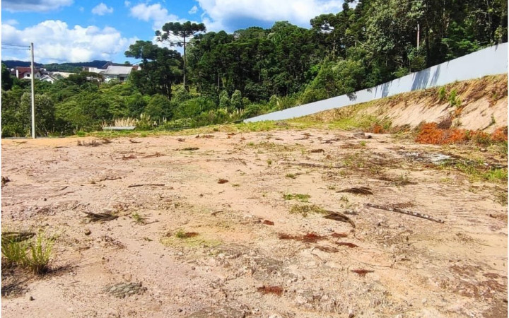 Terreno