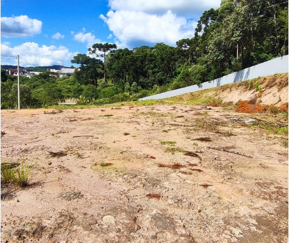 Terreno - Venda - Centenário - São Bento do Sul - SC