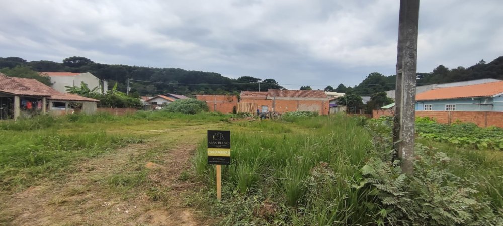Terreno - Venda - Mato Preto - São Bento do Sul - SC