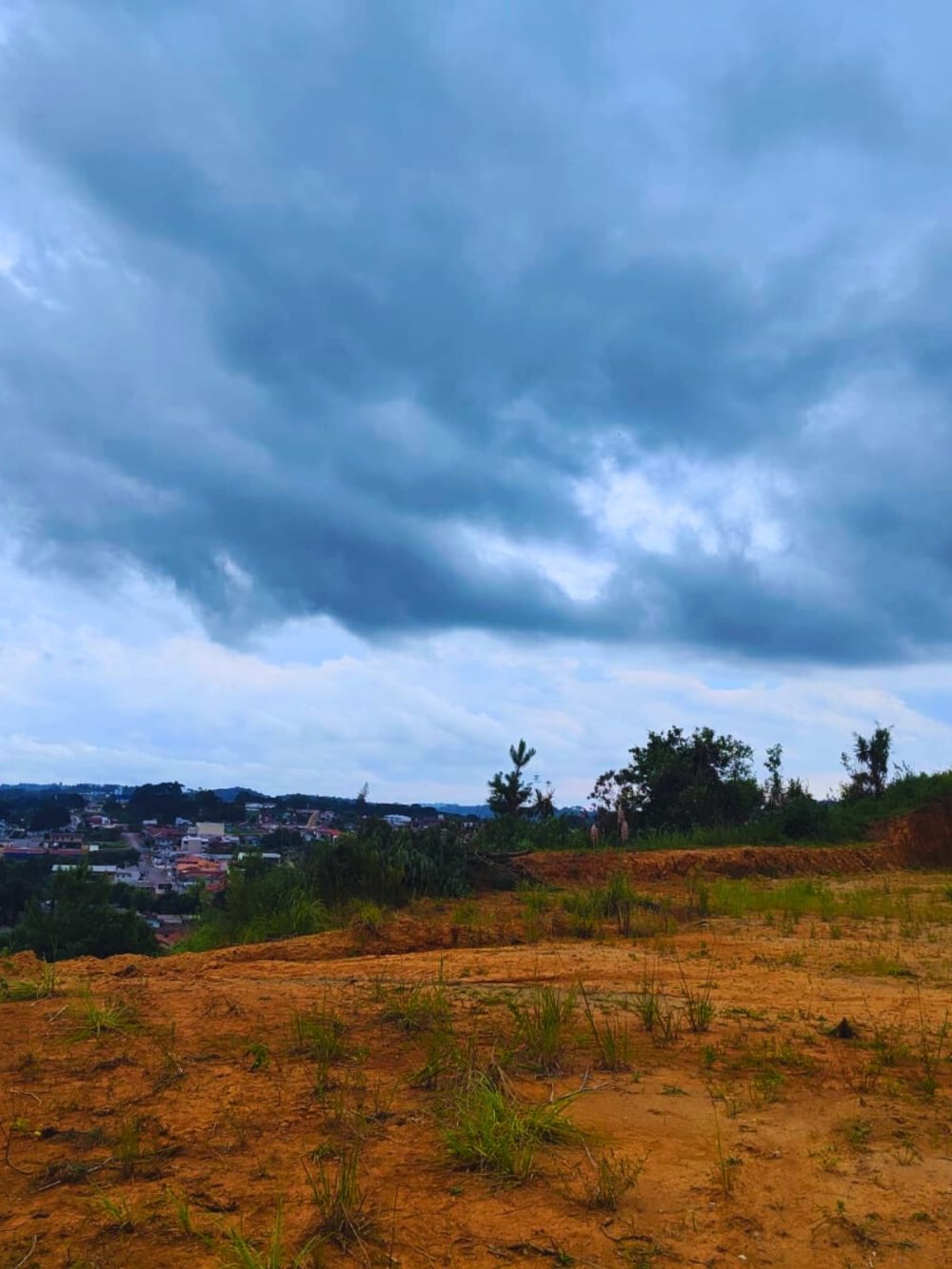 Terreno - Venda - Oxford - São Bento do Sul - SC