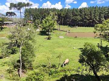 CH�CARA � VENDA - BAIRRO LEN�OL | S�O BENTO DO SUL/SC