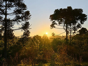 CH�CARA COM 20 MIL M� A POUCOS MINUTOS DE CAMPO ALEGRE/SC